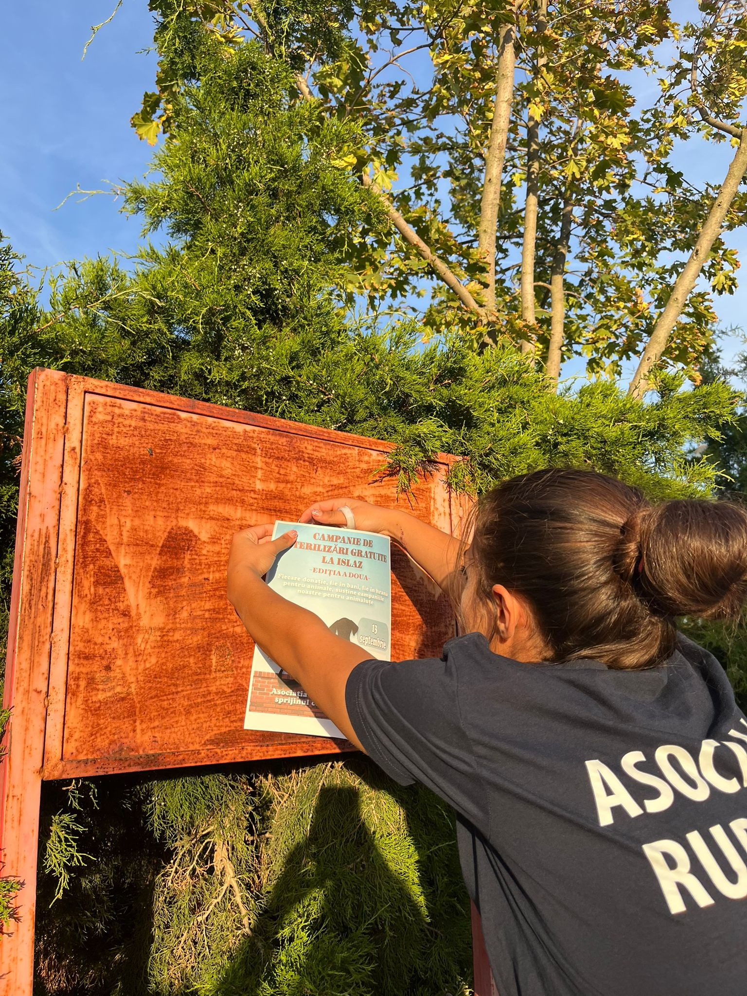 Sterilizări gratuite comuna Islaz - Miniatură 6