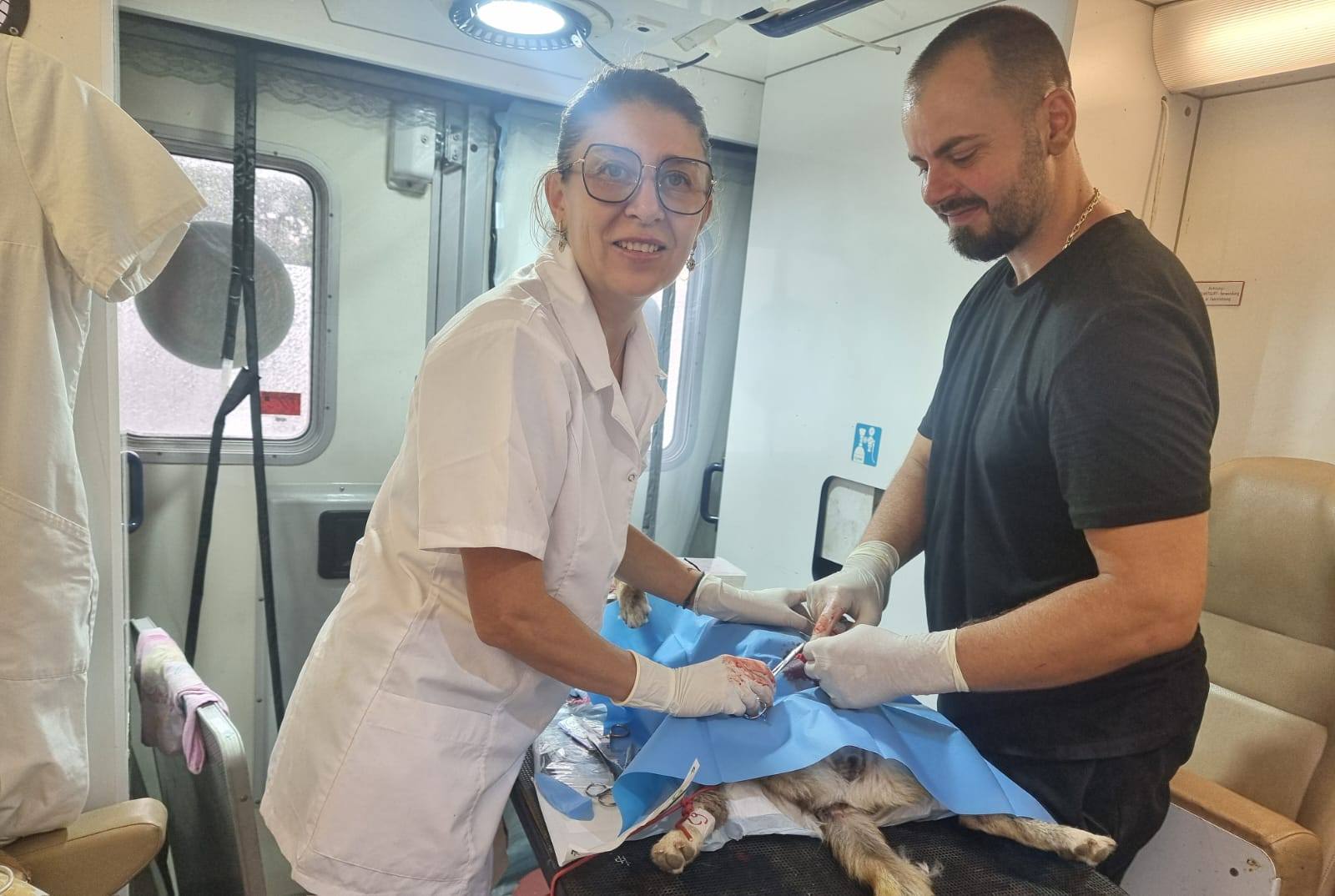 Sterilizări gratuite comuna Islaz - Miniatură 7