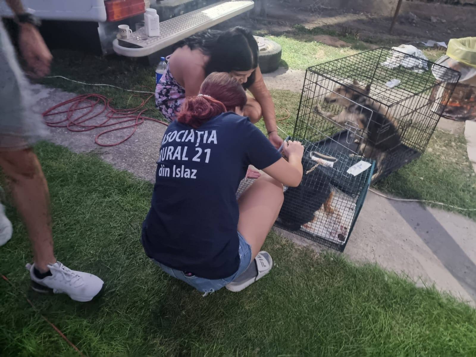 Sterilizări gratuite comuna Islaz - Imaginea 1